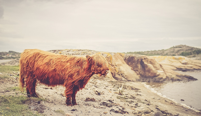 ip攻击器网页版ddos