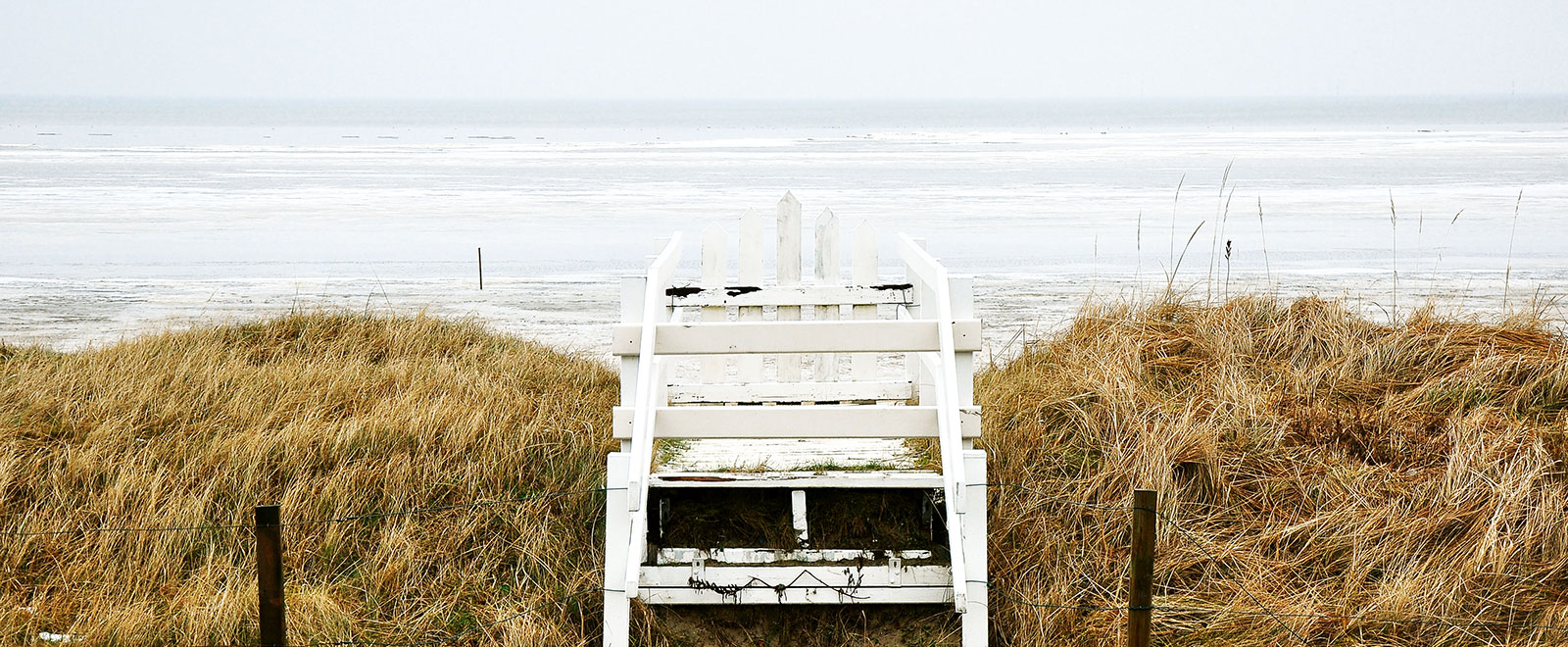 手机攻击器APP下载