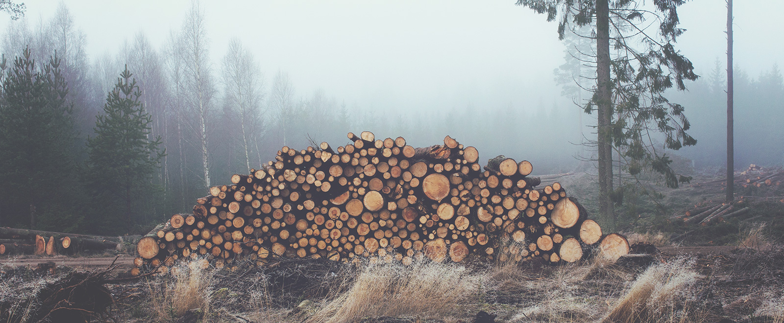 平台在线ddos压力测试